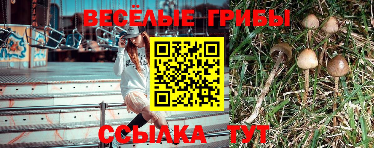 Галлюциногенные грибы прущие грибы  Вход с VPN  Карпинск  Галлюциногенные грибы мухоморы 